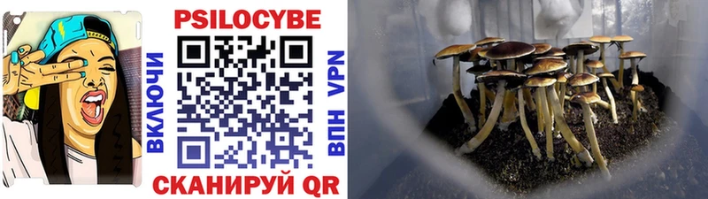 Галлюциногенные грибы ЛСД  Вельск 